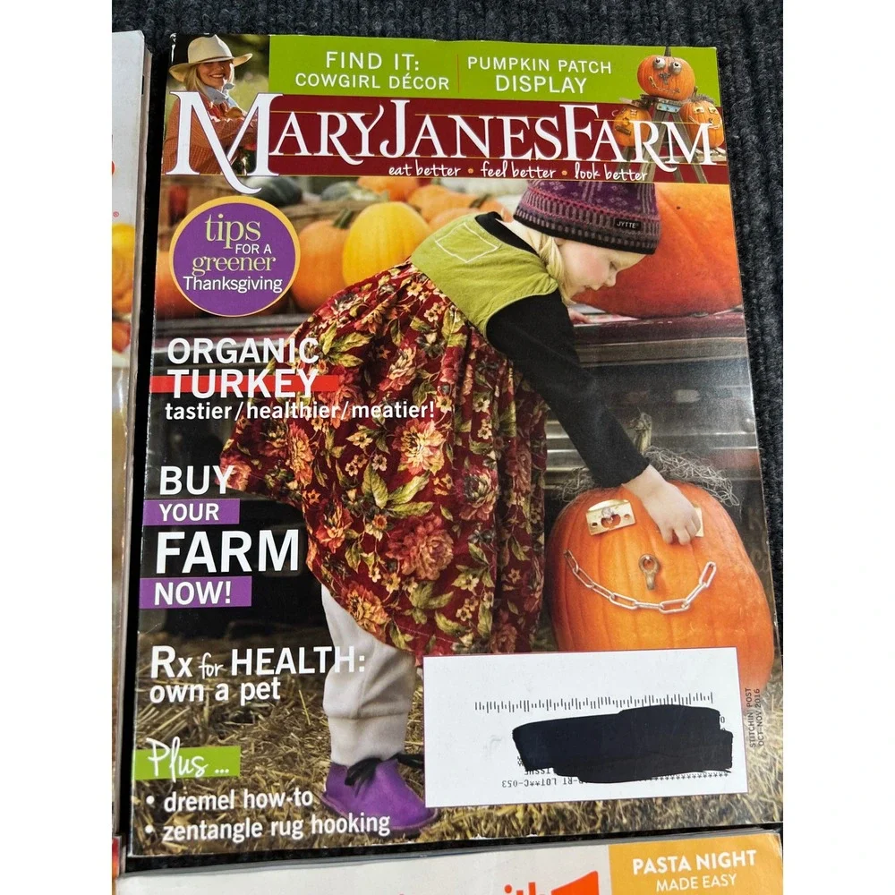 Fall & Halloween Magazine Lot Cooking Decorating BH&G Paula Deen Mary Janes Farm